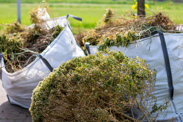 Best Recycling Services for Junk  in Powder Springs, GA
